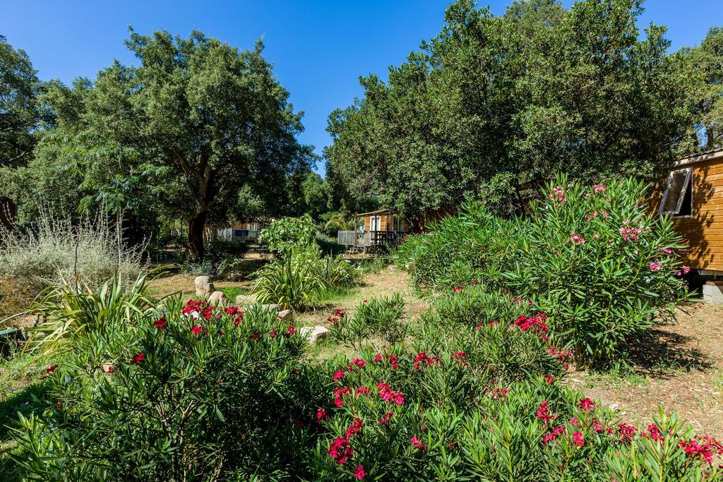 Campo Di Mare Hotell Porto-Vecchio  Eksteriør bilde